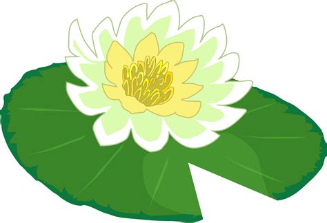 Lily Pad - ClipArt Best