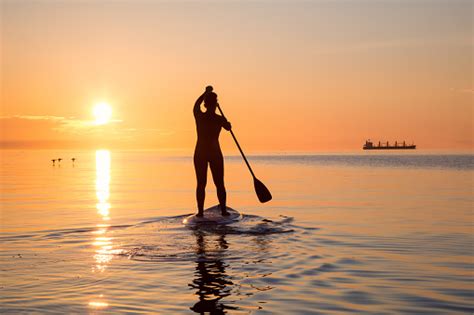 Paddle Boarding During Sunset Stock Photo - Download Image Now - iStock