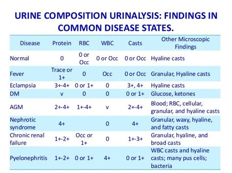 Normal Makeup Of Urine | Saubhaya Makeup