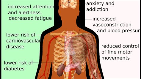 Positive Effects Of Energy Drinks - Energy Choices