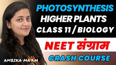 Photosynthesis in Higher Plants Class 11 - [PART 1] | NEET 2023 ...