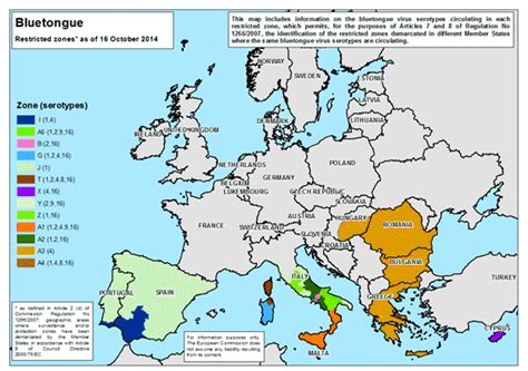 Bluetongue virus