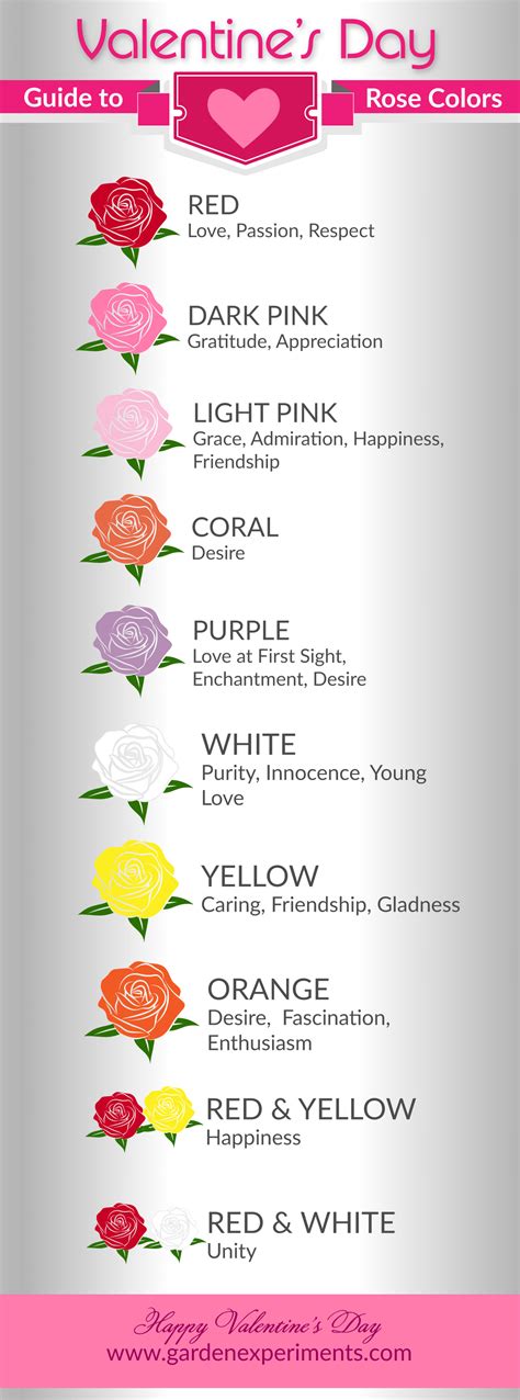 Rose Color Meanings Valentine's Day – Warehouse of Ideas