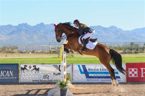 Jump Jargon: A Simple Guide to Horse Jumping Terms - Horse Rookie