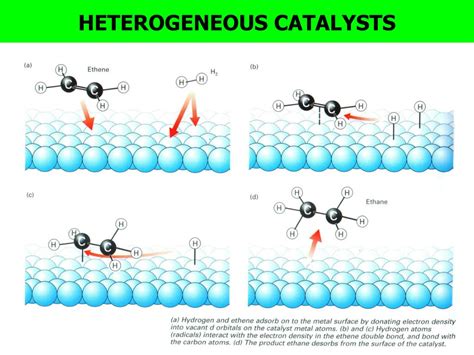 PPT - Starter: 1)Definition of catalysts: 2) Difference between homogeneous and heterogeneous ...