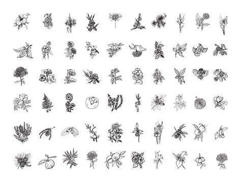 Japanese Plants Illustrations in Art Ink Style 10561087 Vector Art at Vecteezy