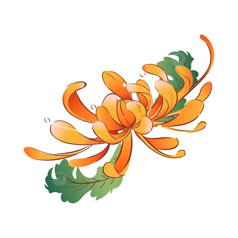 Honeysuckle Flower Vector Art PNG, Orange Honeysuckle Flower, Honeysuckle, Eastern Asia ...