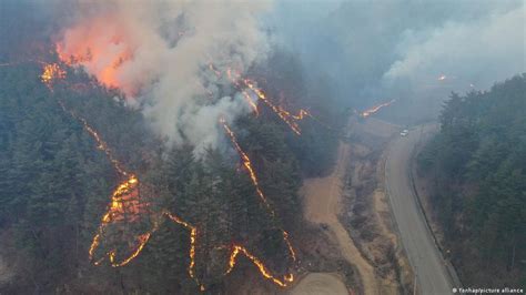 Tiredearth | South Korea: Wildfire triggers mass evacuation