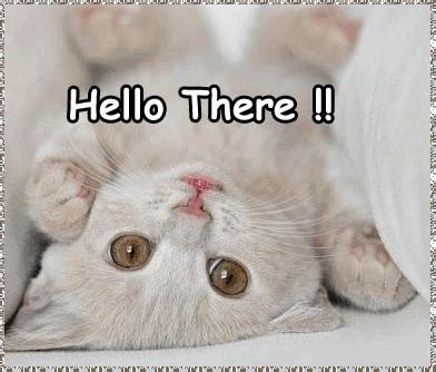 Hello There!! :: Hello! :: MyNiceProfile.com