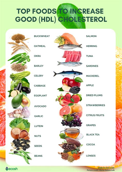 HDL and LDL Cholesterol - How to Lower Bad Cholesterol - Ecosh Life | Heart healthy diet, Heart ...