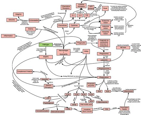 Frontiers | Active Learning and Technology Approaches for Teaching ...