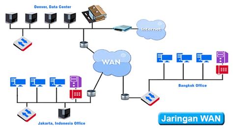 Gaya Terbaru 28+ Gambar Jaringan Wan