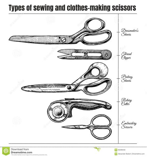 Types Of Sewing And Clothes-making Scissors Stock Vector - Illustration of isolated, scissor ...