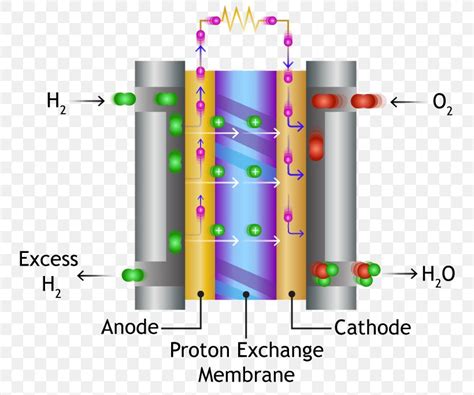 Proton-exchange Membrane Fuel Cell Fuel Cells Polymer, PNG, 763x684px, Protonexchange Membrane ...