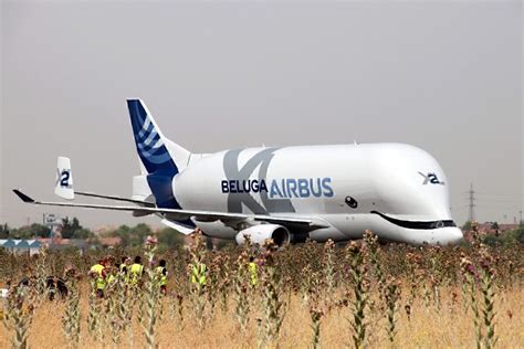 Why Has Airbus Built The BelugaXL Aircraft Type? - Simple Flying