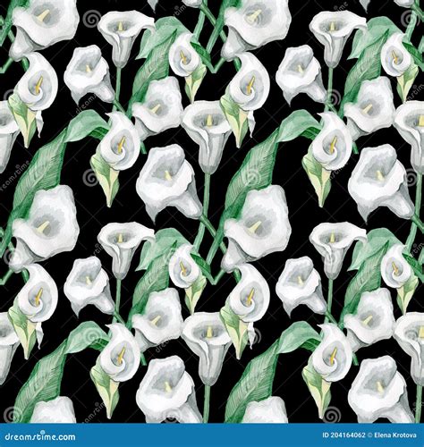 Seamless Pattern with White Calla Lilies Hand Drawn in Watercolor Stock Photo - Image of exotic ...