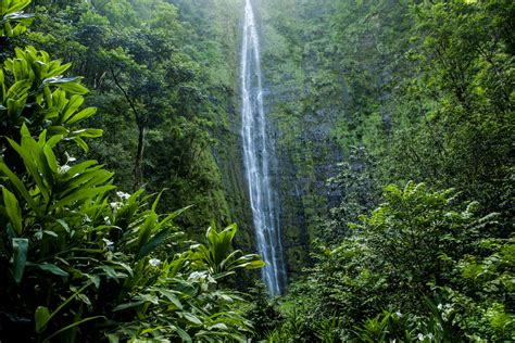 Maui Waterfalls You MUST Visit That Will Blow You Away!