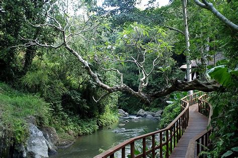 7 Tempat Wisata Ubud Bali Terbaru yang Wajib Dikunjungi di Tahun 2019 - Tempat Wisata