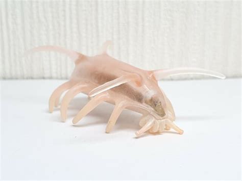 Takara Tomy Kaiyodo Deep Sea SCOTOPLANES animal figure | eBay