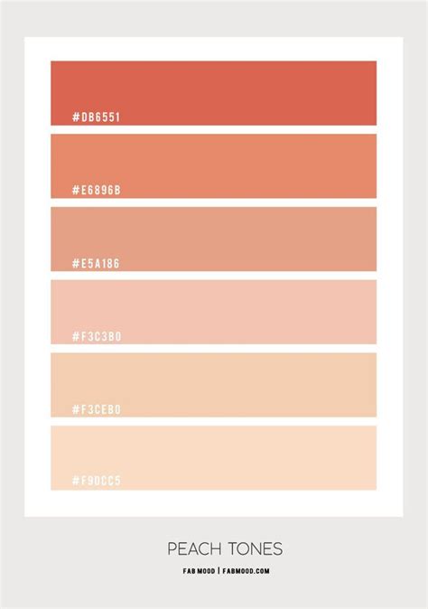 Peach Tones Colour Palette #81 | Color palette bright, Peach color palettes, Color palette design