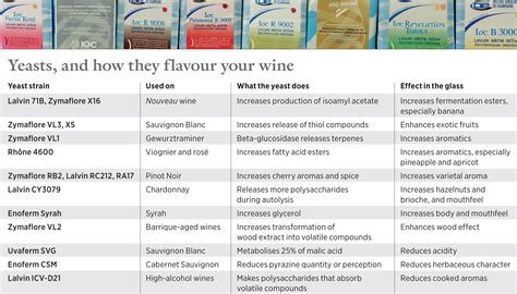 Different Types: Different Types Of Yeast