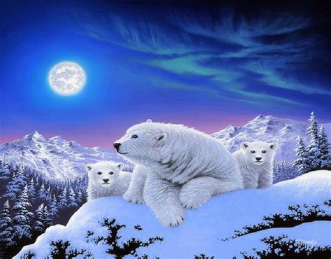 Download Snow Moon Winter Mountain Cub Animal Polar Bear HD Wallpaper