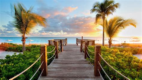 Path Leading To Beach - & Background, High Resolution Tropical HD wallpaper | Pxfuel