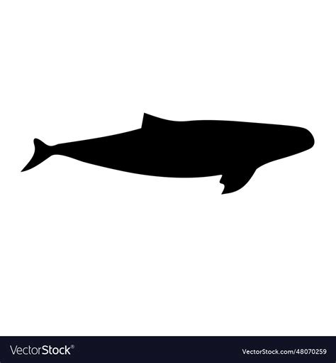 Whale icon image Royalty Free Vector Image - VectorStock