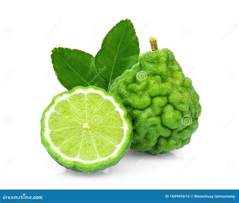 Bergamot Fruit with Leaf Isolated on White Stock Photo - Image of spice ...