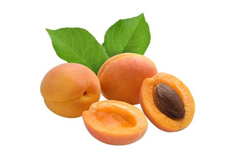 Apricot png transparent background 29228904 PNG