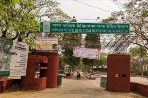 Guwahati: Assam State Zoo To Be Revamped