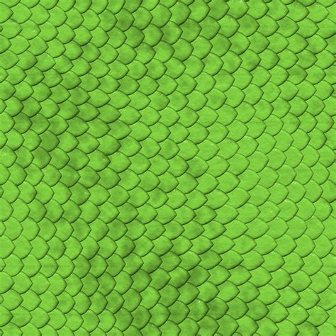 🔥 [40+] Reptile Skin Wallpapers | WallpaperSafari