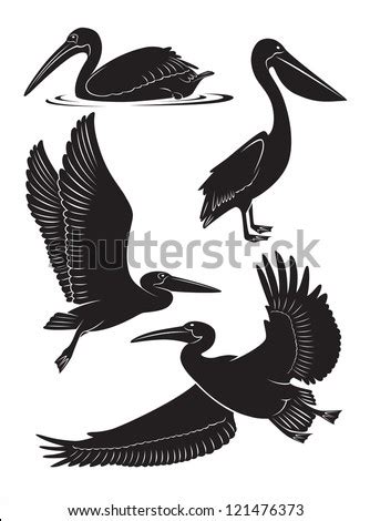 Flying Pelican Silhouette Free Vector / 4Vector