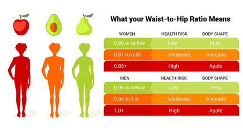 Waist Hip Ratio - how to accurately measure your waist to hip ratio