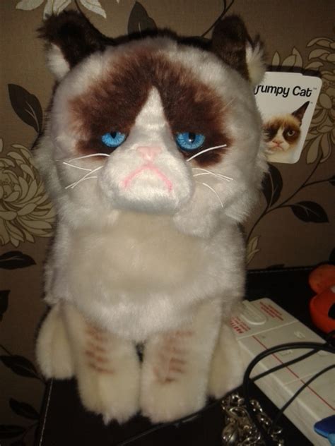 Gund Grumpy Cat Plush Toy! by Daniellee14 on DeviantArt