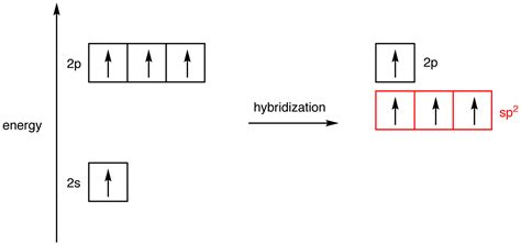 What is the hybridization of each carbon in this molecule? | Socratic