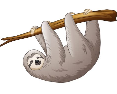 Premium Vector | Sloth hanging on a branch