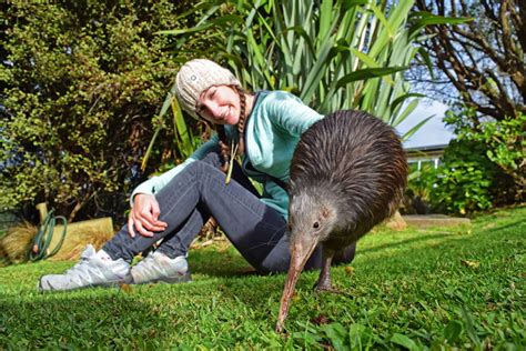 20 Best Places to See a Kiwi Bird in New Zealand 🥚 [2024]