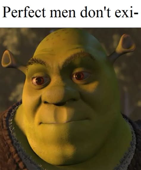 [Image - 723418] | Shrek | Know Your Meme