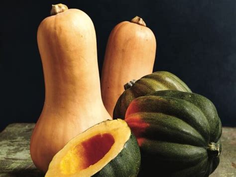 Butternut Squash Small 1.5 pounds & under – Country Gardens Farm