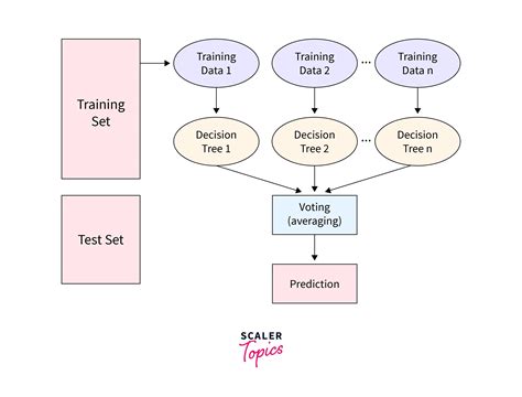 Random Forest Algorithm in Machine Learning | Scaler Topics