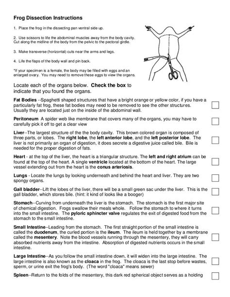 Frog dissection handout