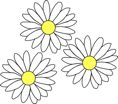 Common daisy Clip art - daisies png download - 600*529 - Free Transparent Common Daisy png ...