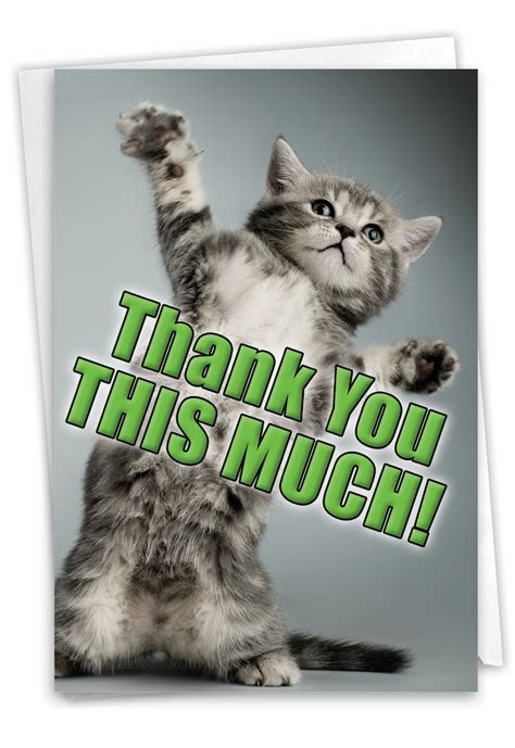 This Much Kitten: Funny Thank You Greeting Card - Cat, Kitten