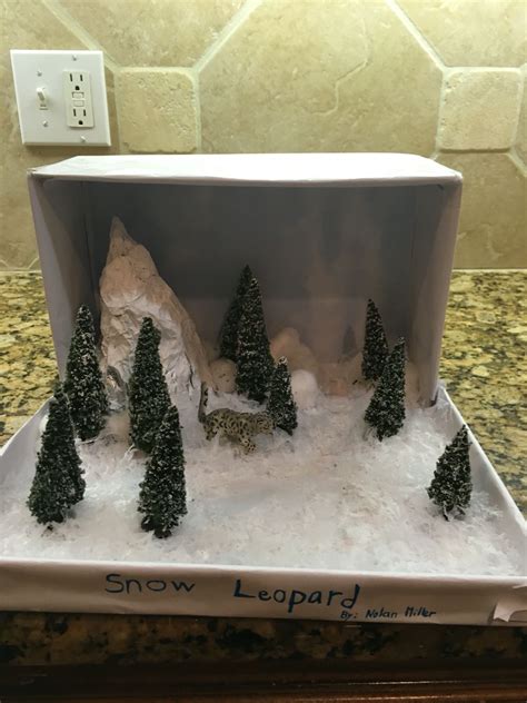 Snow Leopard Habitat For Kids