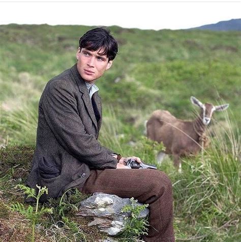 The wind that shakes the barley by Ken Loach. Cillian Murphy. | Cillian murphy, Cillian murphy ...