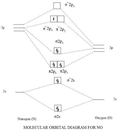 Molecular Orbital Diagram Cn Untpikapps