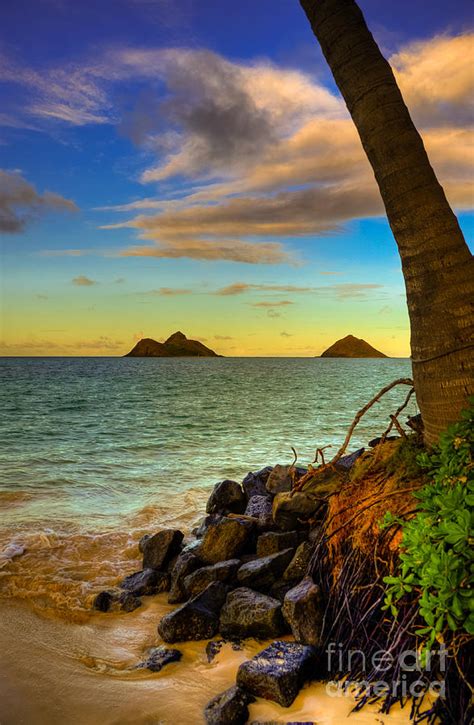 Lanikai Island Sunset Photograph by Kelly Wade