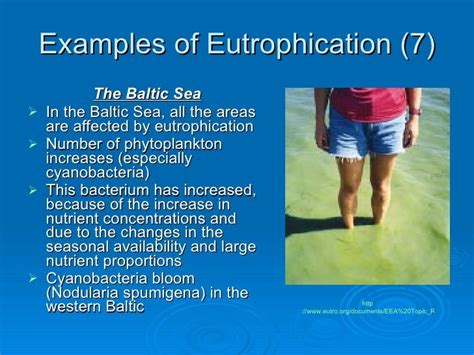 Eutrophication