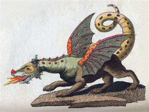 European dragon - Wikipedia